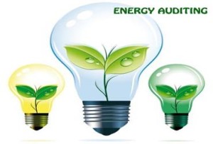 energy-auditing